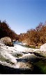 dourbie